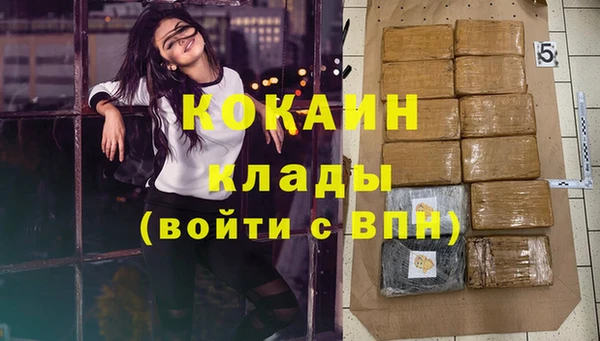 дживик Дмитров