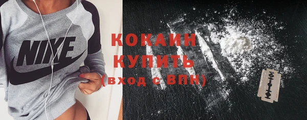 бошки Дмитриев