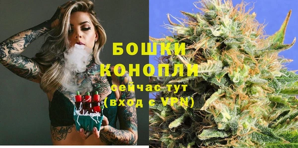 дживик Дмитров
